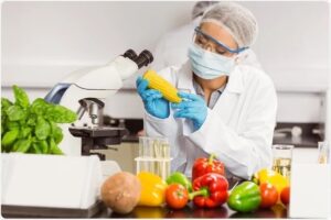 Food Technology That Accelerates Food Production